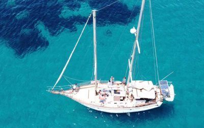 Viaje Culinario: Descubriendo la riqueza de la cocina mediterránea