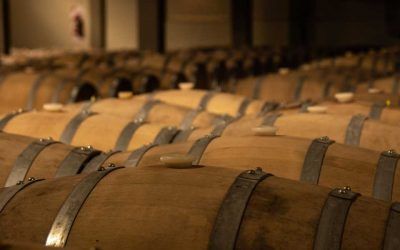 Vinos Locales: Maridajes Perfectos