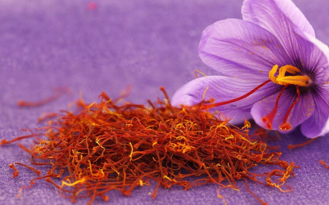 Hierbas y especias mediterráneas: Aromas que definen una cocina