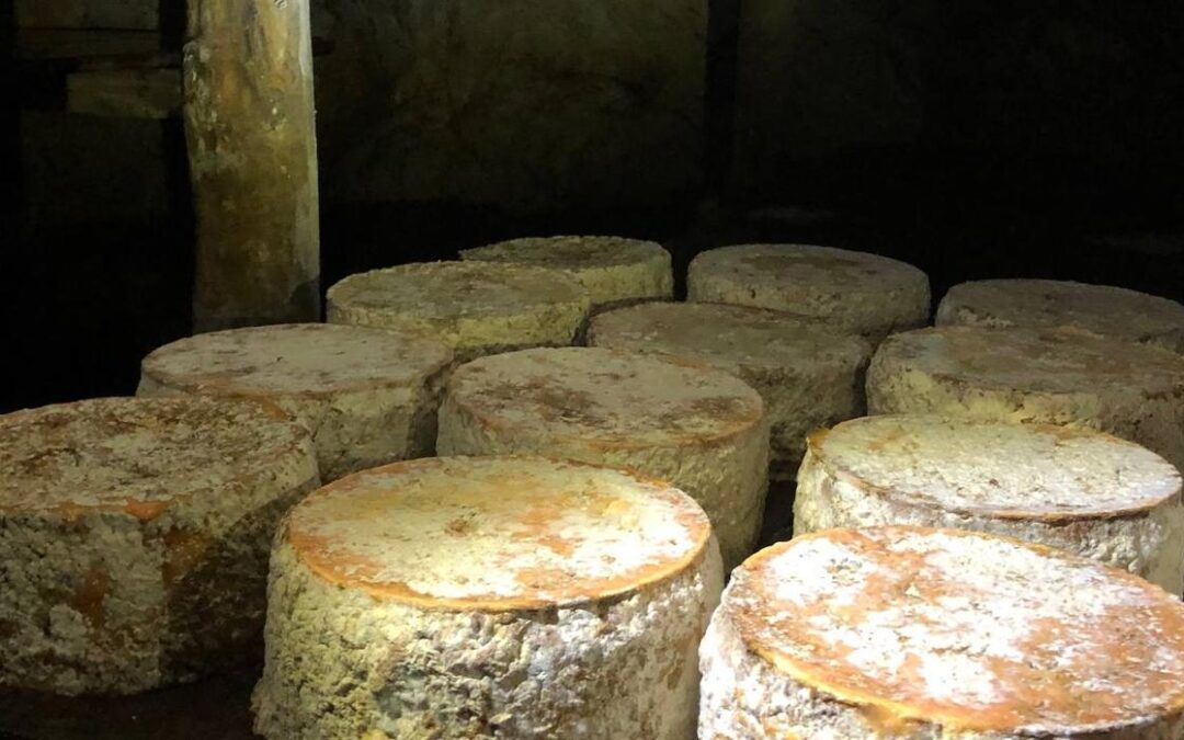 El papel del queso en la cocina mediterránea