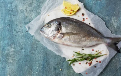 Pescados de la Marina Alta: Sabor fresco del mar en cada plato